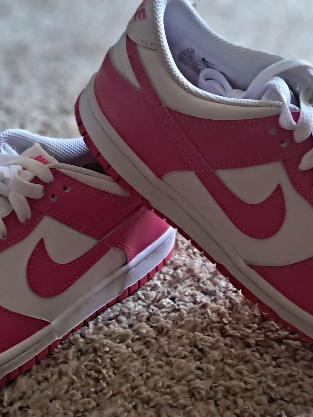 Barbie Pink Nike Dunk Low Youth 6.5 Womens 8